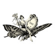 Femme Papillon
