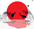 cranes in rush at sunset with reflection