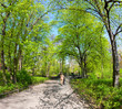 Spring time in park