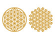 Blume des Lebens -  Schutz Symbol, Heilige Geometrie