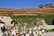Abbazia di Novacella - cimitero, Bressanone - Alto Adige Abbazia di Novacella - cimitero, Bressanone - Alto Adige