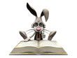 Cartoon rabbit reading big book.
