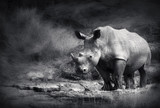 White Rhinoceros - Fine Art prints