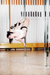 Poledance