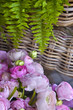 Renoncule, fleur, bouquet, fougère, plante, fleuriste