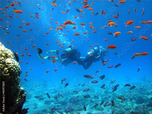 Photo: two floating divers two floating divers
