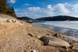 Schluchsee2499