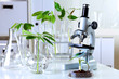 Green plants in biology laborotary