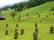 The VBillgraten valley in Austria with hay stacks on the fields The VBillgraten valley in Austria with hay stacks on the fields