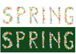 Spring flowers of the inscription