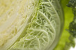 vegetal