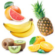 fruits
