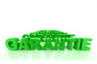 Schriftzug GARANTIE grün