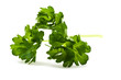 parsley on white background