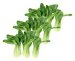 Bok Choy