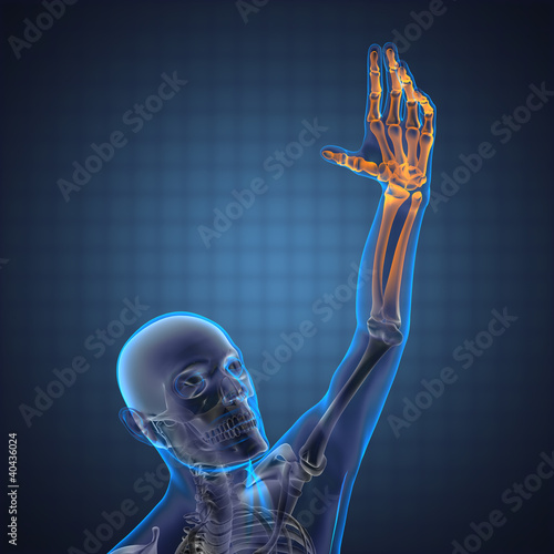 Illustration: human radiography scan human radiography scan