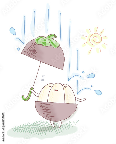 Illustration: マンゴスチン マンゴスチン