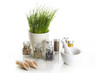 spices with chive and mortar