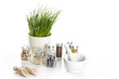 spices with chive and mortar