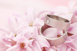 Titanium wedding rings on hyacinth Titanium wedding rings on hyacinth