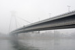 SNP Bridge
