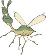 Little green mosquito.Cartoon