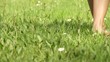 Video: Frau auf Wiese Frau auf Wiese