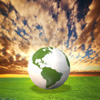 Planet Earth model on green field at sunset