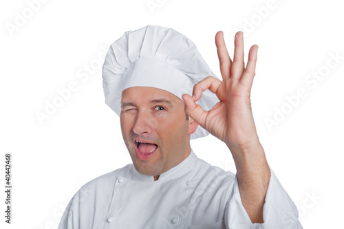 Photo: cook isolated on white background cook isolated on white background