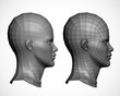 Vector: Female head in profile. Vector Female head in profile. Vector
