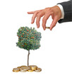 Investment to agriculture Investment to agriculture