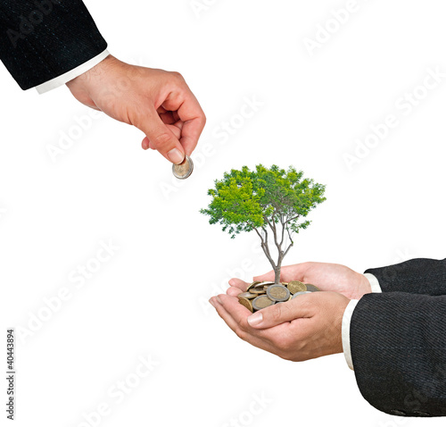 Photo: Palms with a tree growng from pile of coins Palms with a tree growng from pile of coins