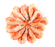 Fresh, uncooked shrimp arranged in a circle