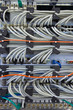 Network