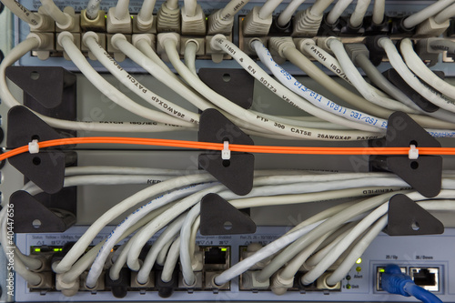 Photo: Network Network