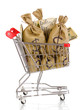 Bags with money in trolley isolated on white