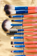 Set of make-up brushes in golden leather case close up
