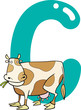 C for cow C for cow