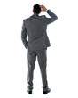 Back-pose of a corporate person thinking