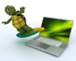 tortoise with surf board and laptop tortoise with surf board and laptop