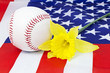 Spring Baseball Spring Baseball