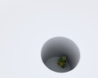 tortoise stuck in a hole metaphor tortoise stuck in a hole metaphor