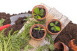 Studioaufnahme- Gartenarbeit - Setzlinge einpflanzen