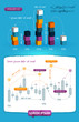 Elements of Infographics with buttons and menus