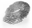 fingerprint