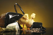 Two yellow ducklings with purse and money.