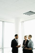 Business people having discussion.