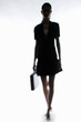 Photo: Silhouette of businesswoman carrying a briefcase. Silhouette of businesswoman carrying a briefcase.