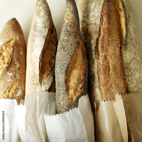 Photo: Selection of fresh Italian rustic bread, one with poppy seeds Selection of fresh Italian rustic bread, one with poppy seeds