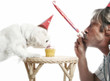 Foto: Man playing with blowout while his dog is eating birthday cake Man playing with blowout while his dog is eating birthday cake